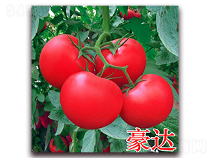 ���_-�۹����ѷN��-�f���r(n��ng)�I(y��)