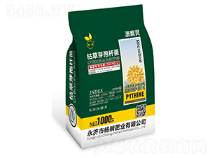 �ݲ�ѿ�ߗU��-�����`-��˲