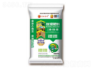 �������19-19-19-�|������