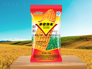 ���׌��Ó����28-12-10-�S�տ�܇