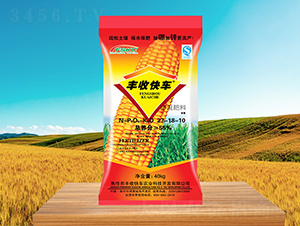 ���׌��Ó����27-8-10-�S�տ�܇