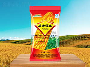 ���׌��Ó����30-5-5-�S�տ�܇