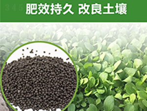 �G����(zhu��n)�÷�-�����S