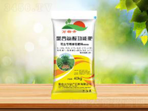 ������(zhu��n)�þ۹Ȱ��Ṧ�ܷ�-ʢ�A�r(n��ng)�I(y��)