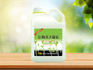 萬物升之苗樂-盛華農(nóng)業(yè)