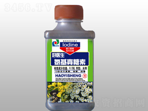 �ջ����ð���������-���t(y��)��-ِ��r(n��ng)��