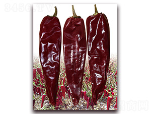 ���A�t3̖(h��o)-�����N��-�t�l(f��)�N�I(y��)