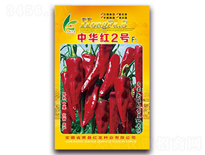 ���A�t2̖(h��o)-�����N��-�t�l(f��)�N�I(y��)