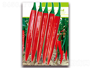 ���n404-�����N��-�t�l(f��)�N�I(y��)