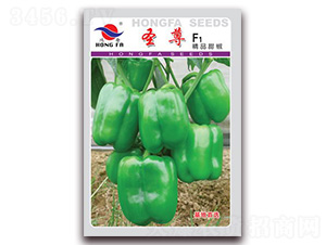 ʥ��-�����N��-�t�l(f��)�N�I(y��)