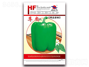 ����-�����N��-�t�l(f��)�N�I(y��)