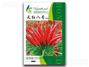 ��t��̖(h��o)-�����N��-�t�l(f��)�N�I(y��)