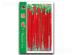 ����-�����N��-�t�l(f��)�N�I(y��)