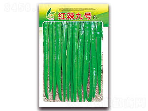 �t����̖(h��o)-�����N��-�t�l(f��)�N�I(y��)