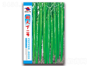 �����¶�̖(h��o)-�����N��-�t�l(f��)�N�I(y��)