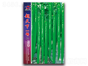 ������һ̖(h��o)-�����N��-�t�l(f��)�N�I(y��)