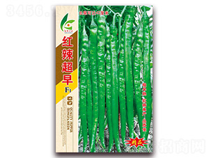 �t������-�����N��-�t�l(f��)�N�I(y��)