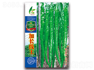 ���L(zh��ng)����-�����N��-�t�l(f��)�N�I(y��)