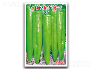 ����֮��-�⽷�N��-�t�l(f��)�N�I(y��)