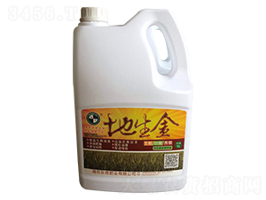 ������-������-����ţ