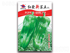 �t�l(f��)���K��-��Ƥ�ݽ��N��-�t�l(f��)�N�I(y��)