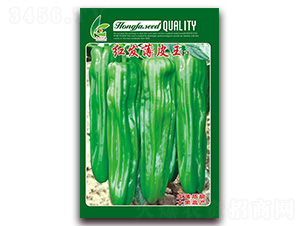 �t�l(f��)��Ƥ��-��Ƥ�ݽ��N��-�t�l(f��)�N�I(y��)