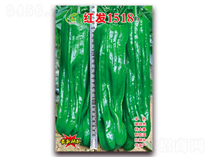 �t�l(f��)1518-��Ƥ�ݽ��N��-�t�l(f��)�N�I(y��)