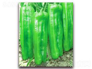 �t�l(f��)����̖(h��o)-��Ƥ�ݽ��N��-�t�l(f��)�N�I(y��)