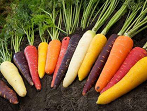 �}���N��-��ϣ��