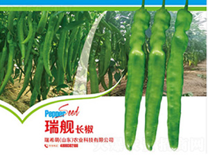 瑞艦長椒-辣椒種子-瑞希萌