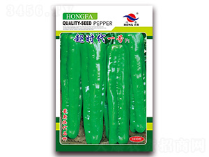 ���r(sh��)��һ̖(h��o)-��Ƥ�ݽ��N��-�t�l(f��)�N�I(y��)