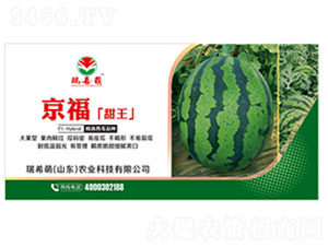 ��������-���ϷN��-��ϣ��