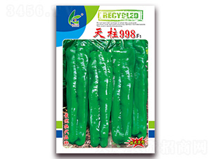 ����998-��Ƥ�ݽ��N��-�t�l(f��)�N�I(y��)