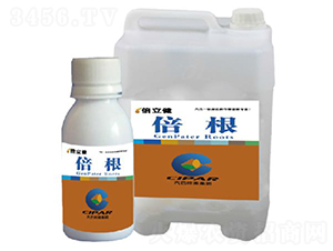 ����-������-�����r�I(y��)