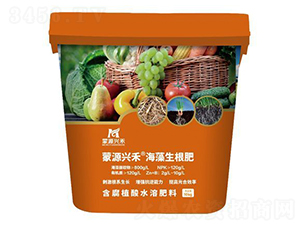 海藻生根肥-蒙源興禾