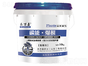 ������-̼�ܡ�����-���f��