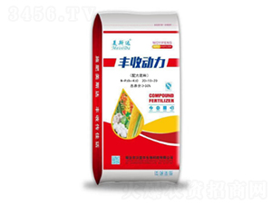 �����䷽��-�S�Մ���-�����S����