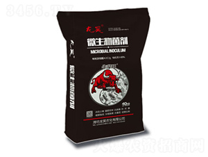 ΢���������40kg��-��껷ʘI(y��)