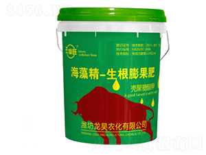 ���徫���������-ţĦ��-��껷ʘI(y��)