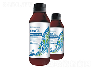 菌解魚蛋白+海藻精-魚大力瓶裝-利地生物