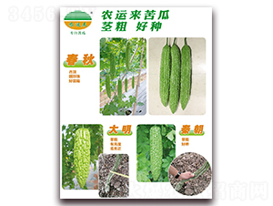 ����+����+�س�-��ϷN��-�r(n��ng)�\��