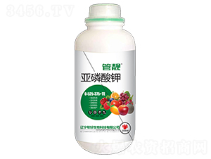 �������0-525-375+TE-���n-�ͺ�����