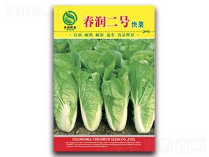 ������̖-�ײ˷N��-�����N�I(y��)