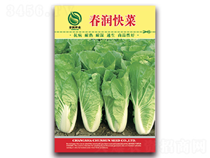 �������-�ײ˷N��-�����N�I(y��)