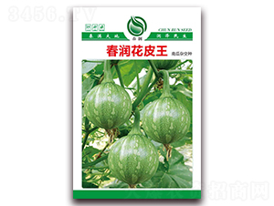 ����(r��n)��Ƥ��-�ϹϷN��-����(r��n)�N�I(y��)