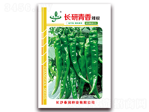 長研青香-辣椒種子-春潤種業(yè)