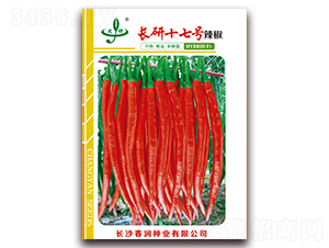 長(zhǎng)研十七號(hào)-辣椒種子-春潤(rùn)種業(yè)