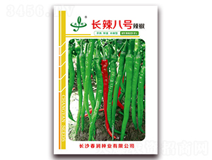 長辣八號-辣椒種子-春潤種業(yè)