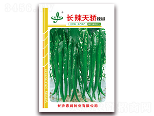 長辣天驕-辣椒種子-春潤種業(yè)