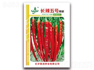 長(zhǎng)辣五號(hào)-辣椒種子-春潤(rùn)種業(yè)